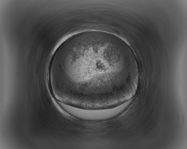 X0000085741523200703231059