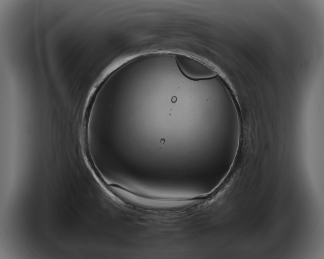 X0000085741525200703231059