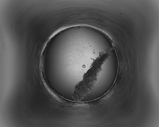X0000085741526200703231059