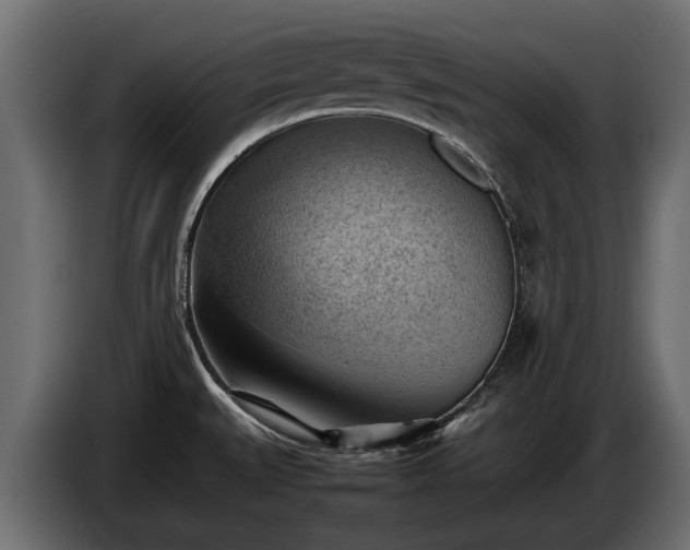 X0000085741527200703231059