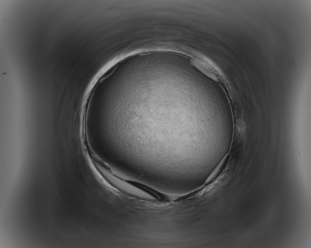X0000085741528200703231059