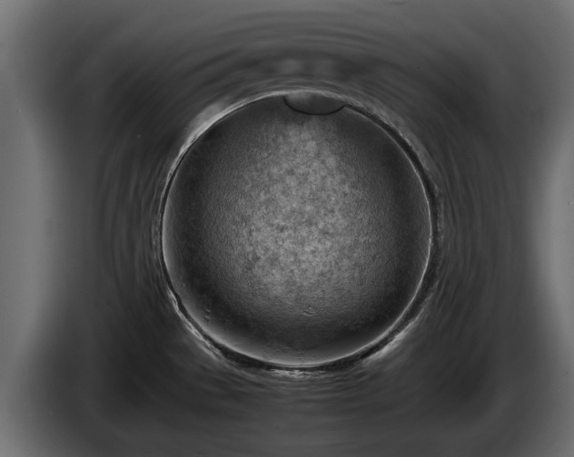 X0000085741529200703231059