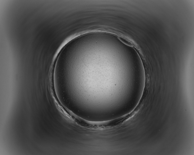 X0000085741530200703231059