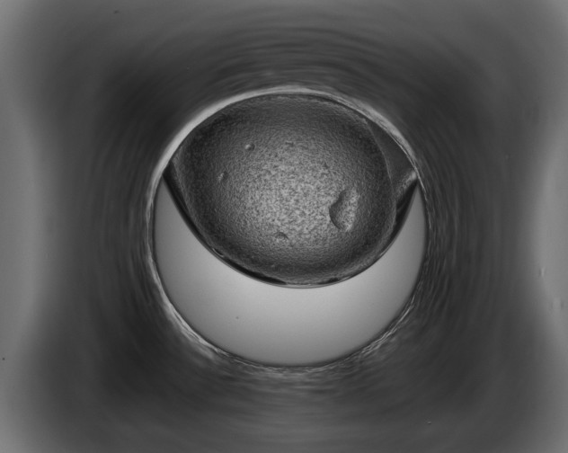 X0000085741532200703231059