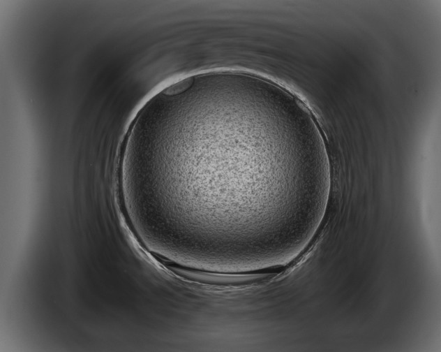 X0000085741534200703231059