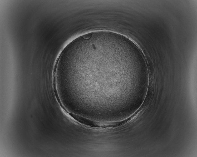 X0000085741535200703231059