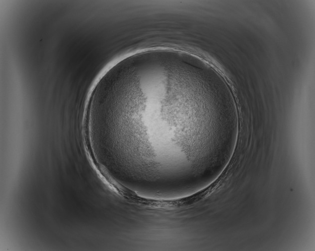 X0000085741536200703231059