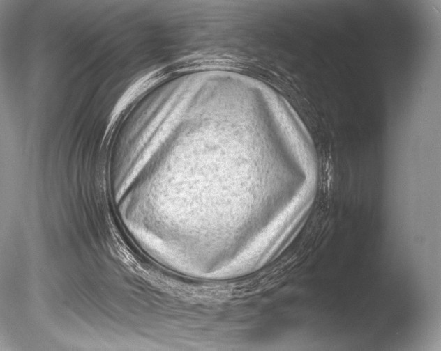 X0000085740004200703301440