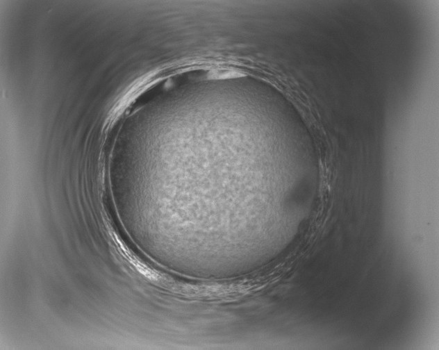 X0000085740005200703301440