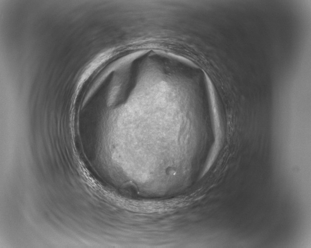 X0000085740006200703301440