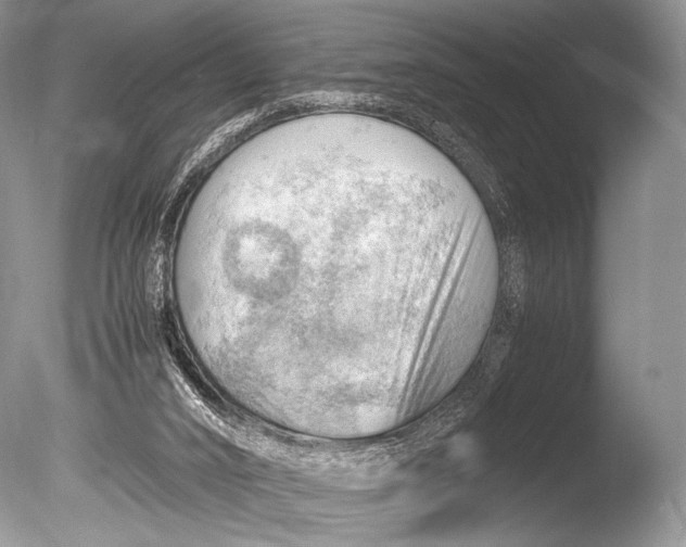 X0000085740016200703301440