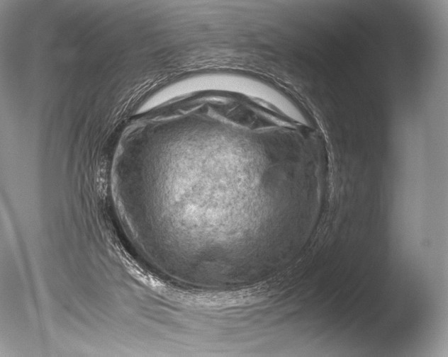 X0000085740017200703301440