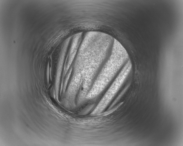 X0000085740021200703301440