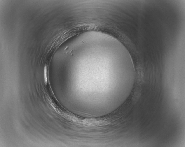 X0000085740022200703301440