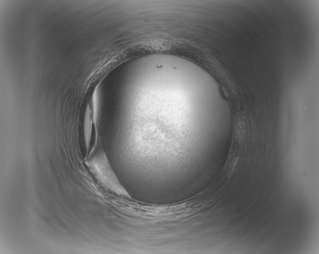 X0000085740023200703301440