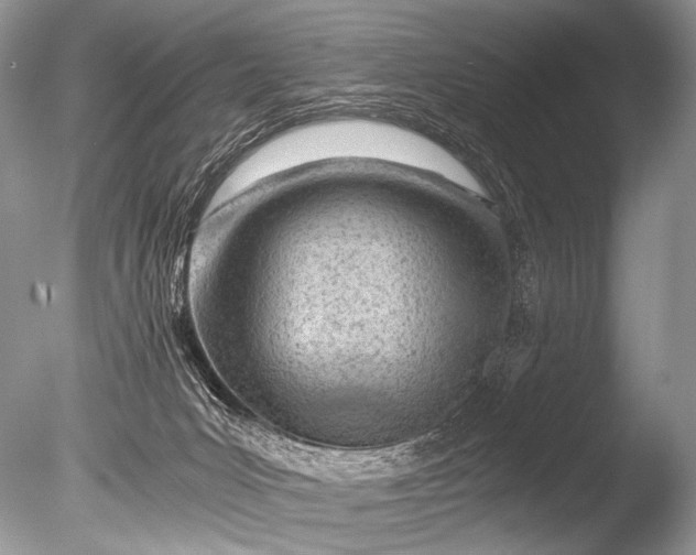 X0000085740031200703301440