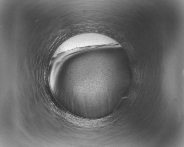 X0000085740035200703301440