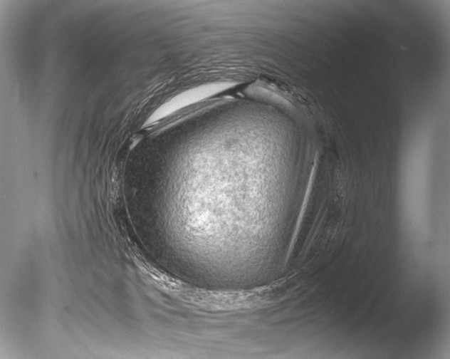 X0000085740037200703301440