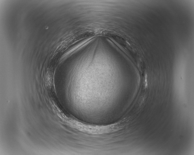 X0000085740039200703301440