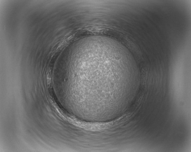 X0000085740040200703301440