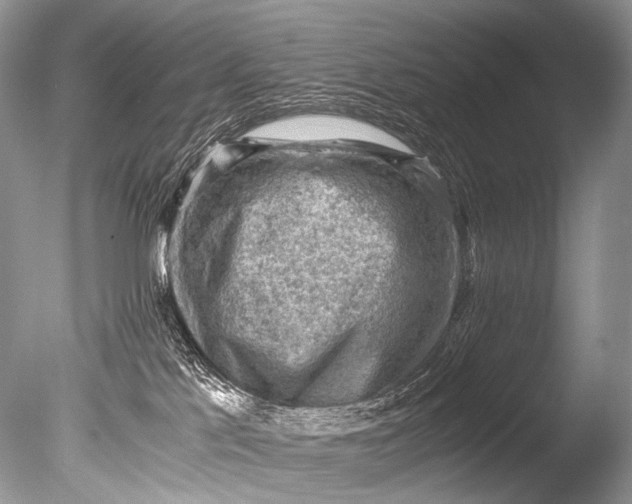 X0000085740041200703301440