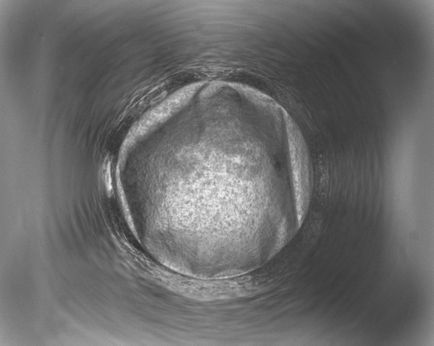 X0000085740042200703301440