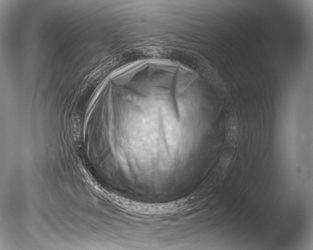 X0000085740043200703301440