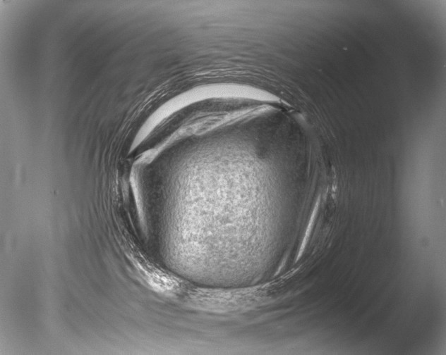 X0000085740045200703301439