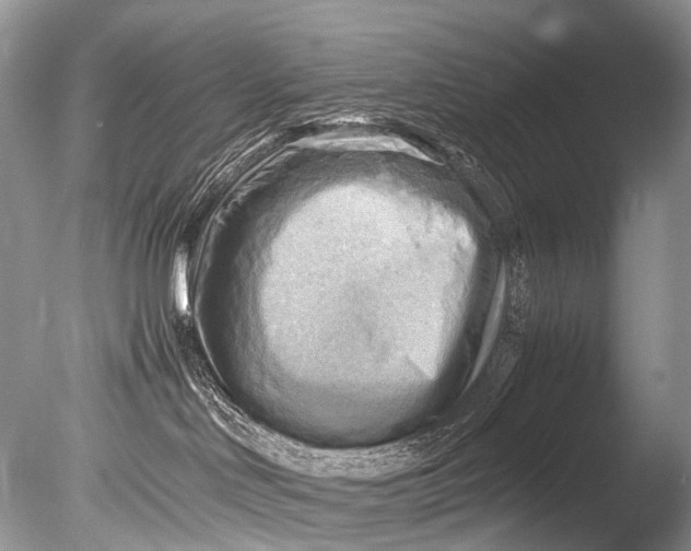 X0000085740046200703301439