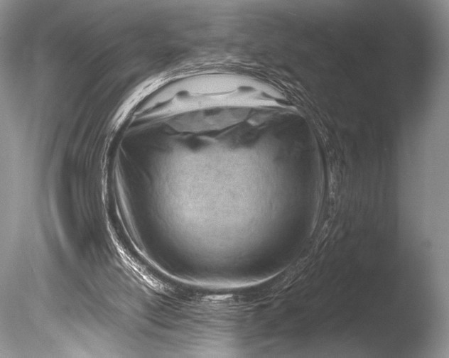 X0000085740054200703301439