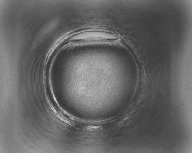 X0000085740055200703301439
