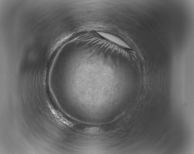X0000085740058200703301439
