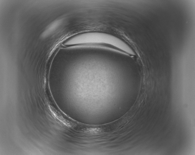 X0000085740059200703301439