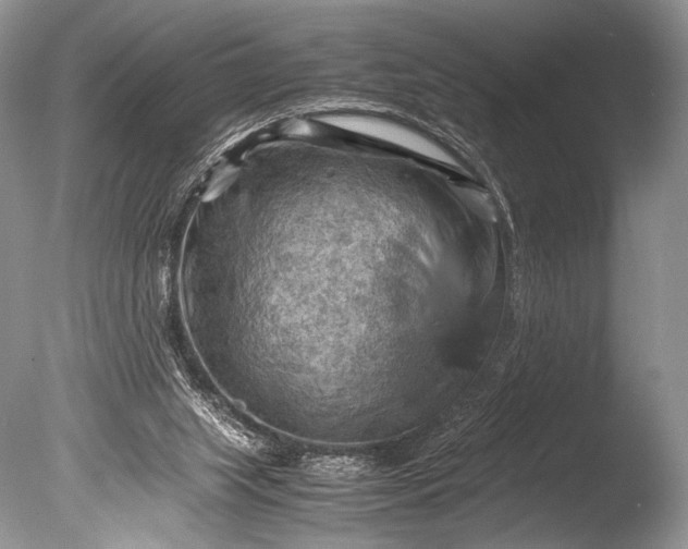 X0000085740063200703301439