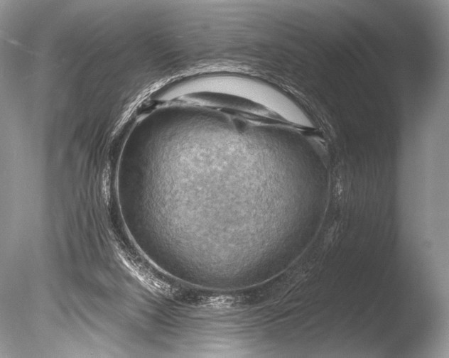 X0000085740064200703301439