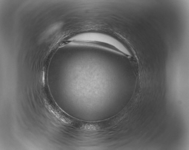 X0000085740067200703301439