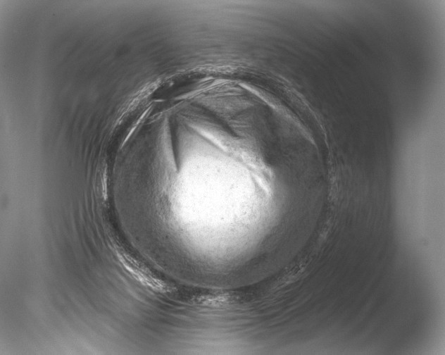 X0000085740068200703301439