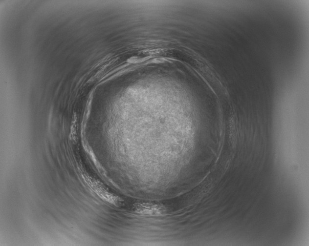 X0000085740073200703301439
