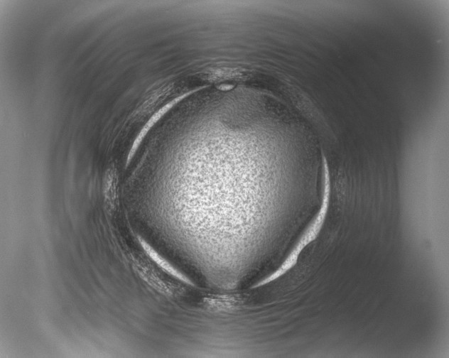 X0000085740079200703301439