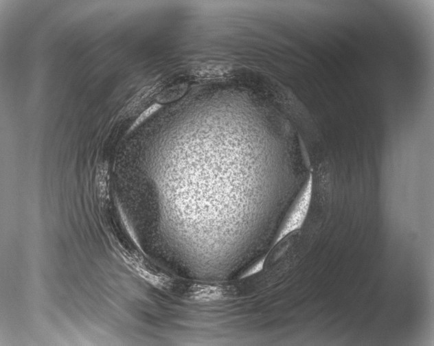 X0000085740083200703301439