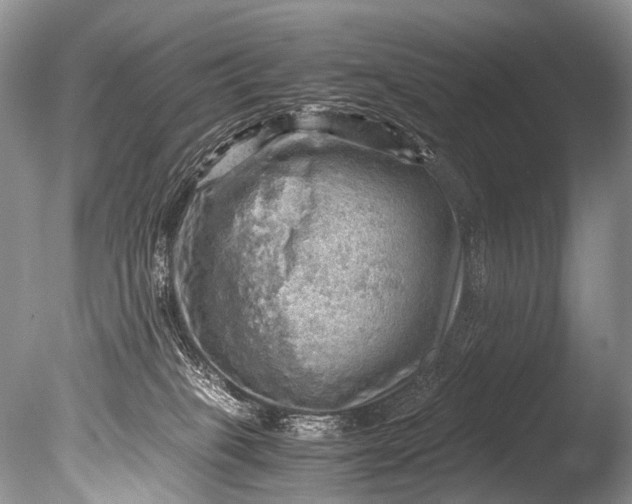 X0000085740085200703301439