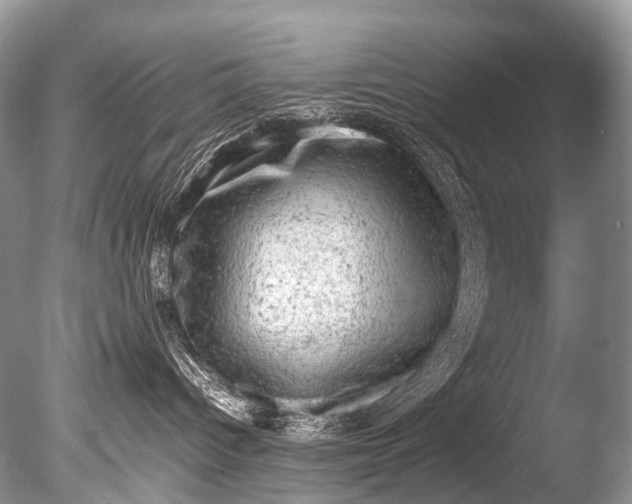 X0000085740096200703301439