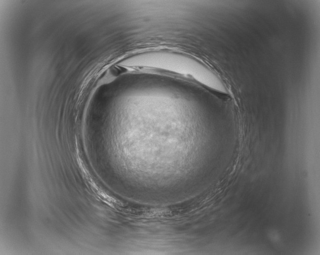 X0000085740097200703301439