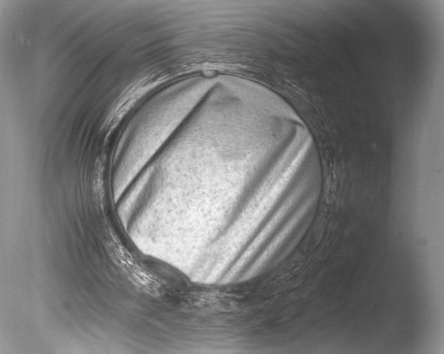 X0000085740098200703301439