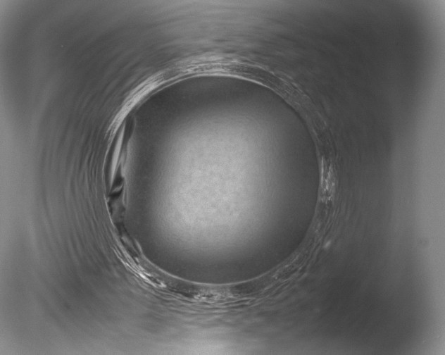X0000085740099200703301439