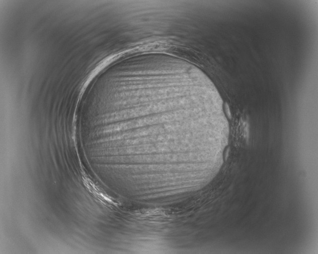 X0000085740100200703301439