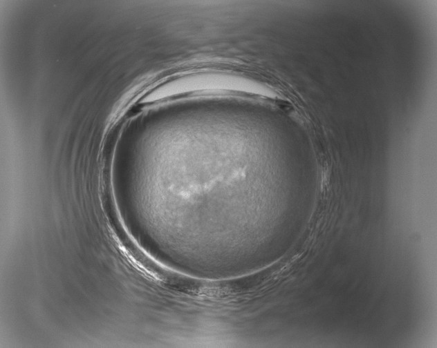 X0000085740101200703301439