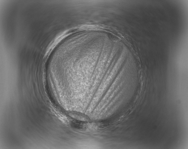 X0000085740103200703301438