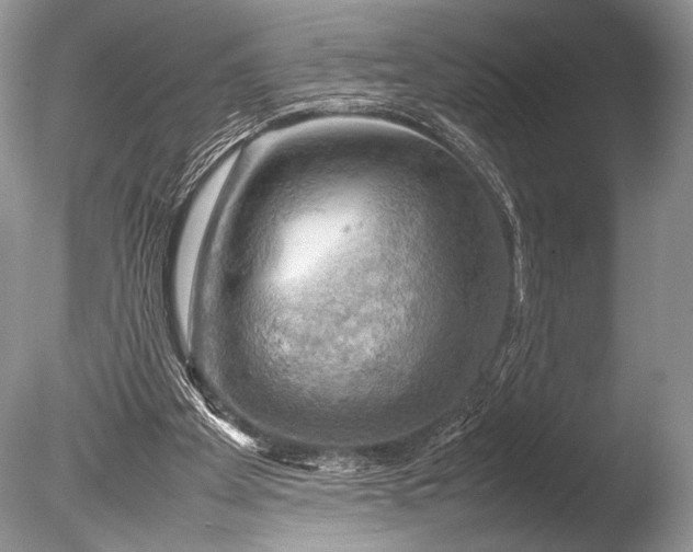 X0000085740105200703301438