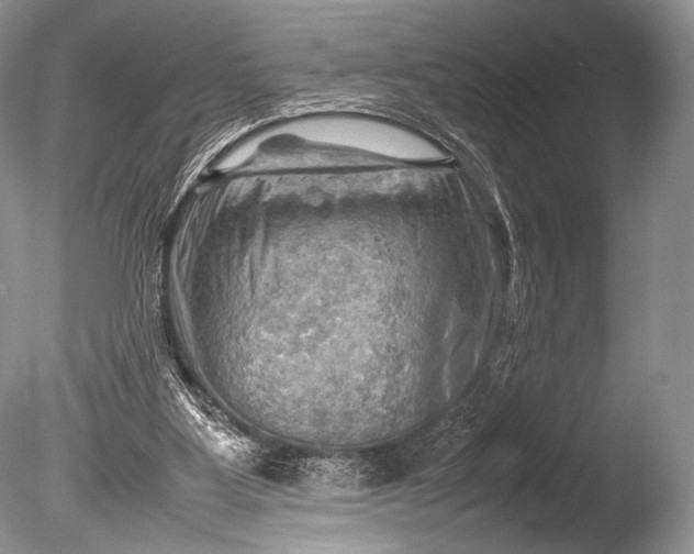 X0000085740107200703301438